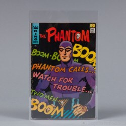 Our Regular Comic 4 mil Mylar Sleev